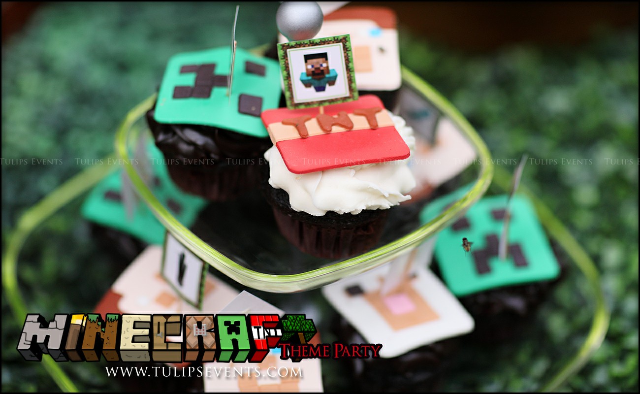 Minecraft Birthday Party Theme Decoration ideas in Pakistan (25)