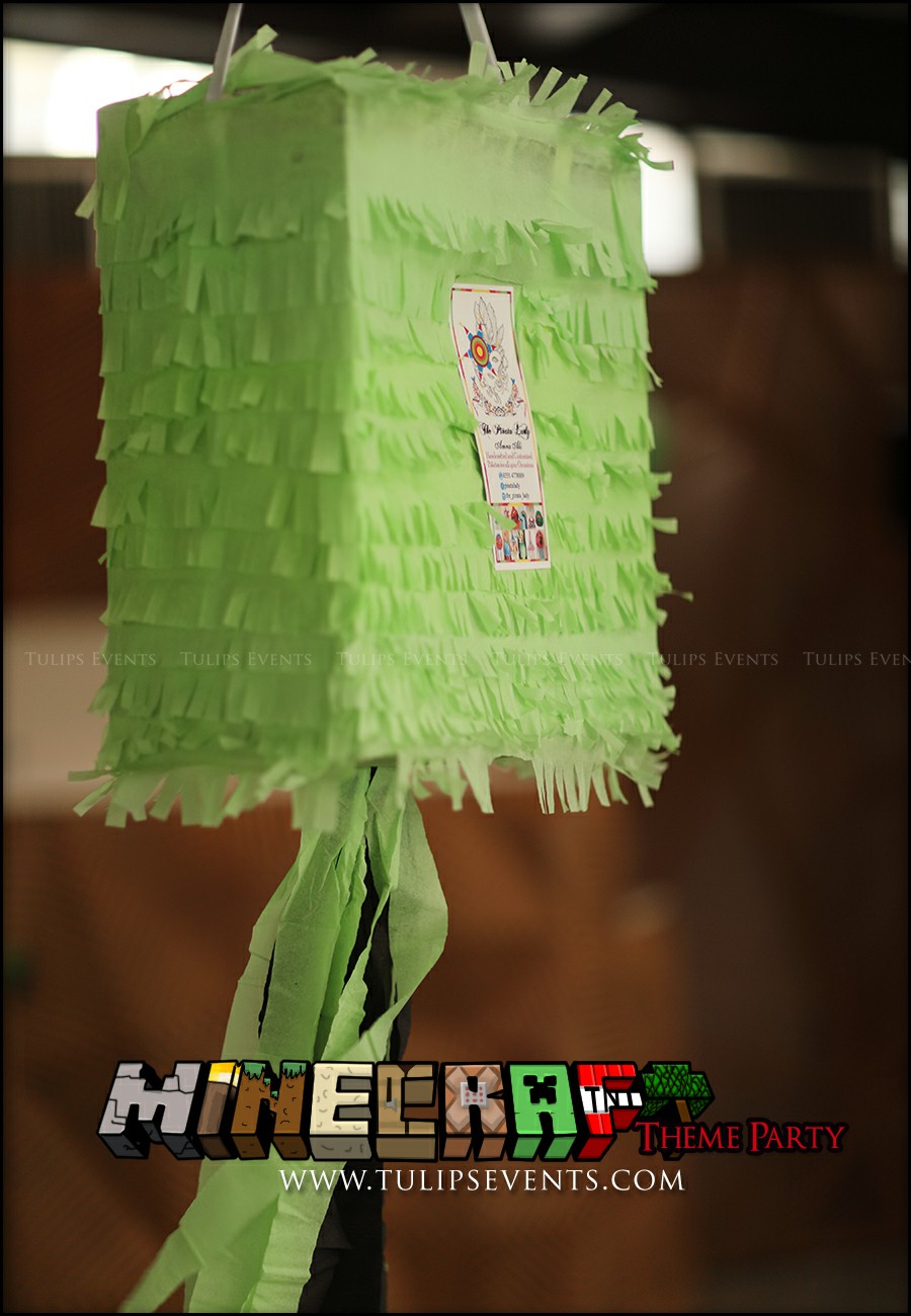 Minecraft Birthday Party Theme Decoration ideas in Pakistan (31)