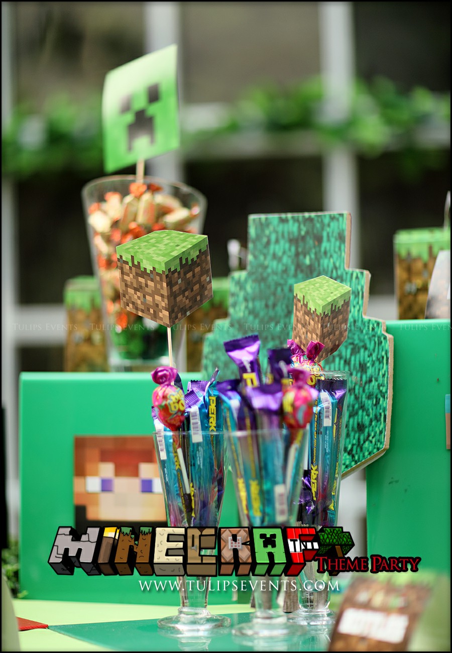 Minecraft Birthday Party Theme Decoration ideas in Pakistan (33)