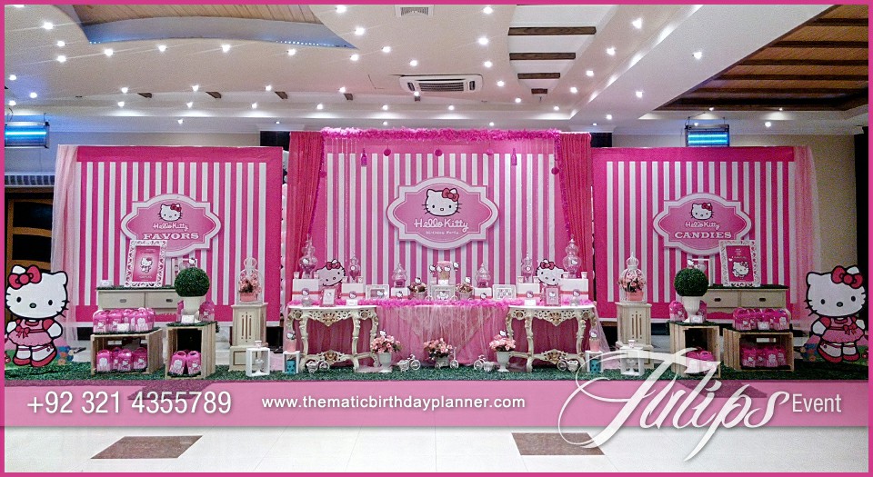 Pink Kitty First Birthday Party for girls in Pakistan (6)