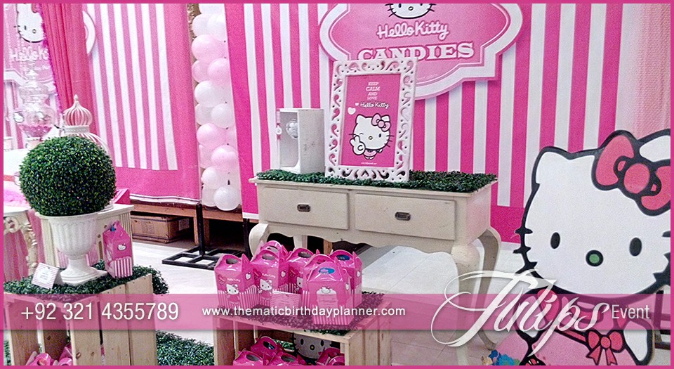 Pink Kitty First Birthday Party for girls in Pakistan (7)