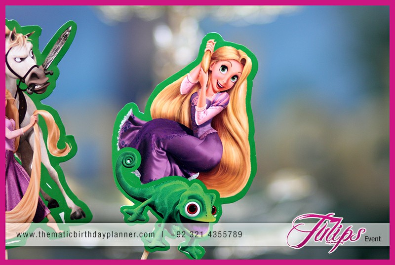 Rapunzel Tangled Birthday Party planning Ideas in Pakistan (3)