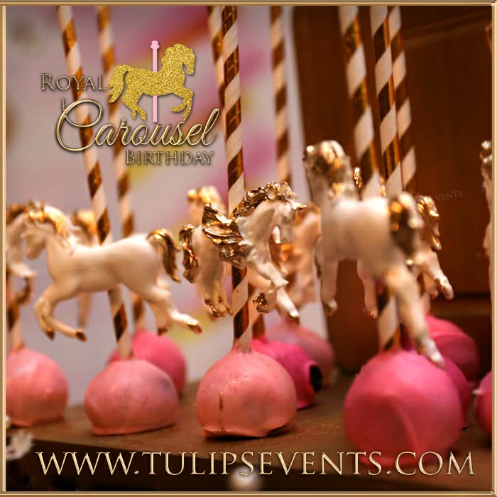 Royal Carousel Theme Birthday Party Planner Pakistan (74)