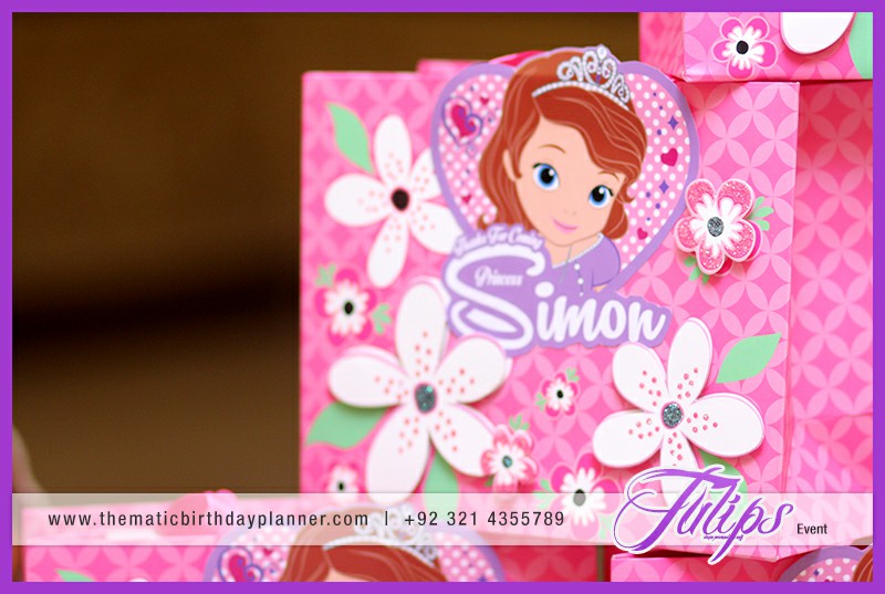 Sofia the first birthday party ideas for girls in Pakistan (1)