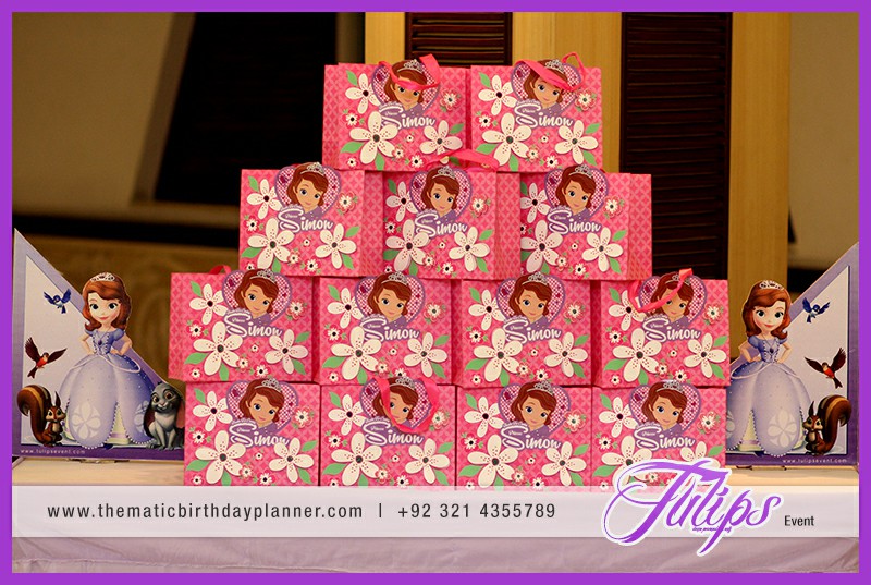 Sofia the first birthday party ideas for girls in Pakistan (2)