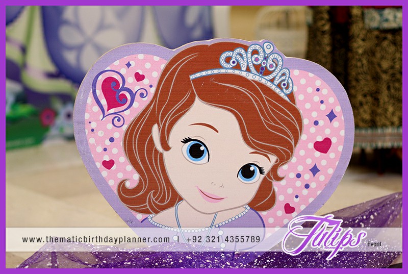 Sofia the first birthday party ideas for girls in Pakistan (3)