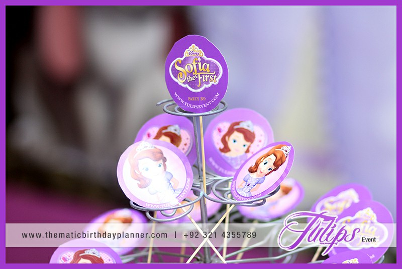 Sofia the first birthday party ideas for girls in Pakistan (5)