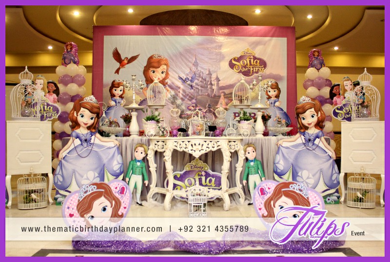 Sofia the first birthday party ideas for girls in Pakistan (7)