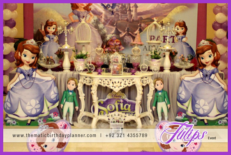 Sofia the first birthday party ideas for girls in Pakistan (8)