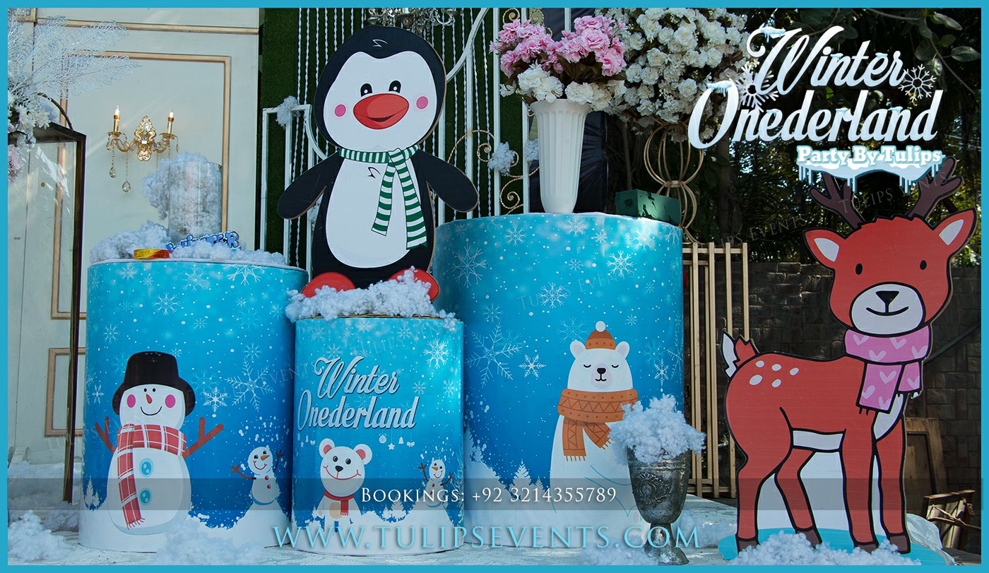 Winter Onederland Birthday Party Planner in Lahore Pakistan (8)