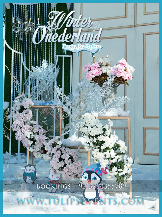 Winter Onederland Theme Birthday Party Planner in Lahore Pakistan (6)