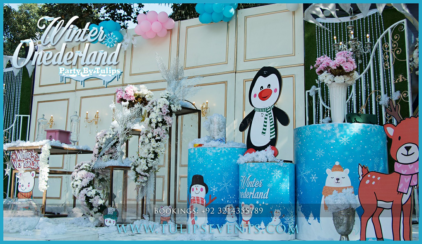 Winter Onederland Theme Birthday Party Planner in Lahore Pakistan (8)