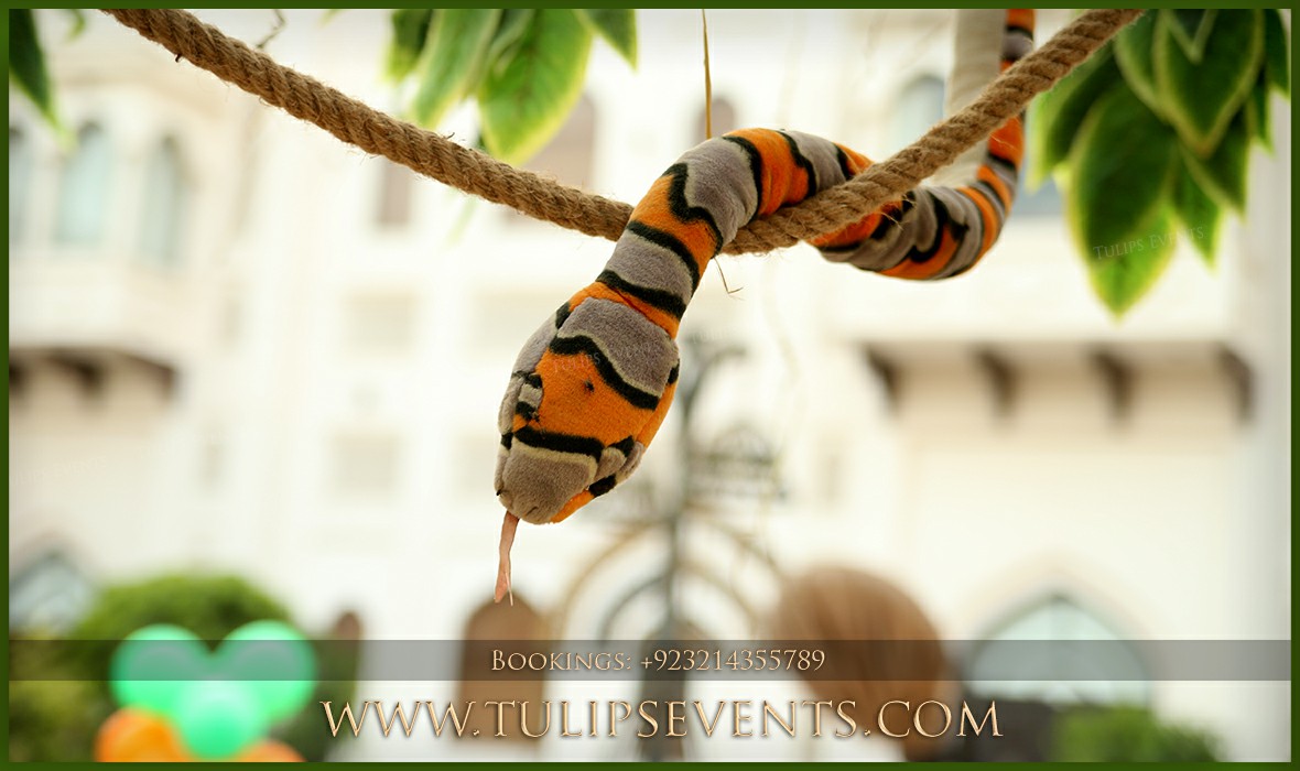 Zoo Animals Birthday Party Theme Decor in Pakistan (2)