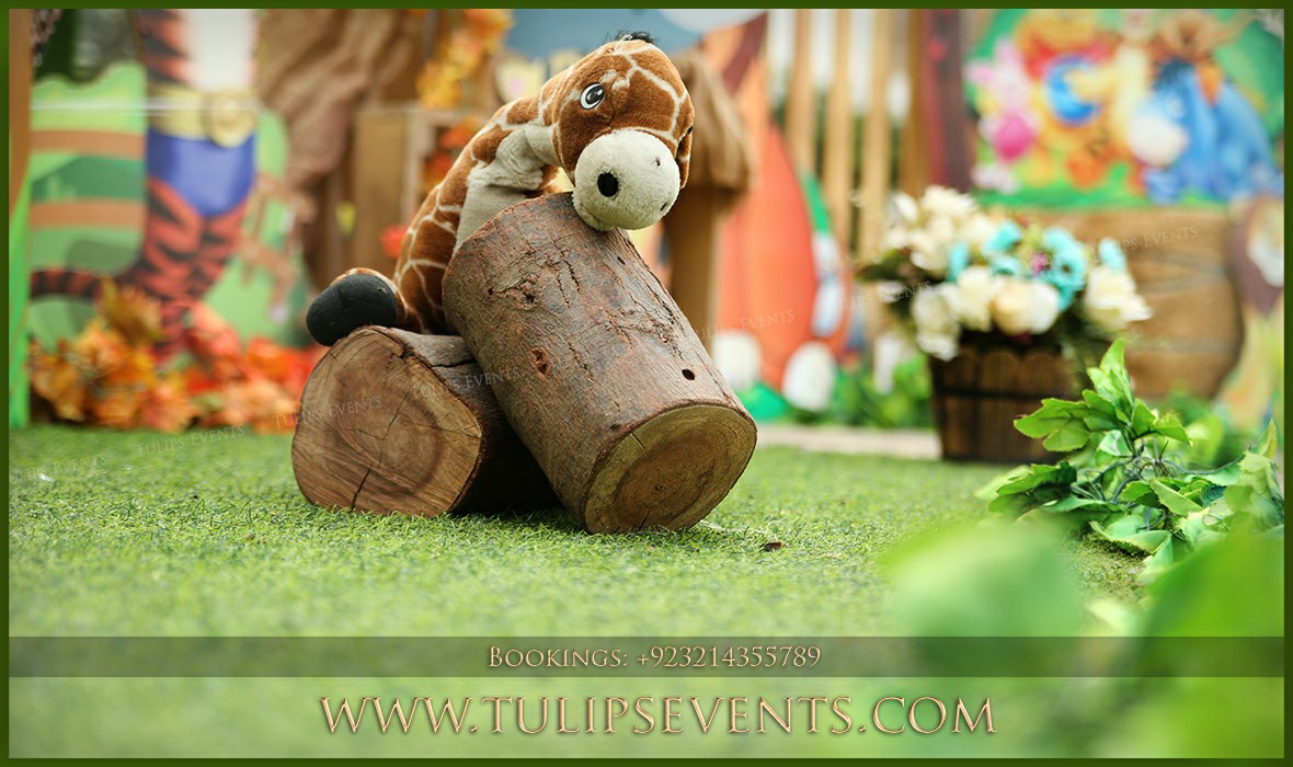 Zoo Animals Birthday Party Theme Decor in Pakistan (4)