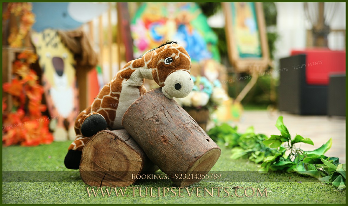 Zoo Animals Birthday Party Theme Decor in Pakistan (5)