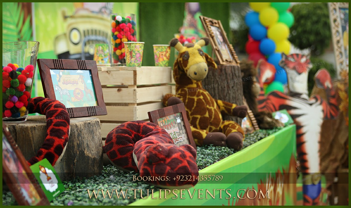 Zoo Animals Birthday Party Theme Decor in Pakistan (6)