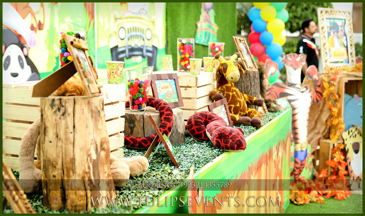 Zoo Animals Birthday Party Theme Decor in Pakistan (7)