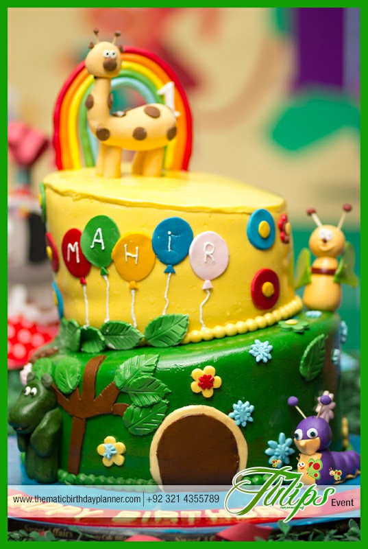 baby tv birthday party theme ideas in Lahore Pakistan (2)