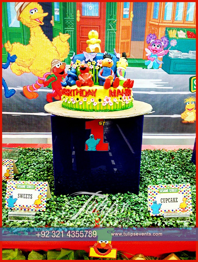 sesame street birthday decorations ideas in Lahore Pakistan (8)